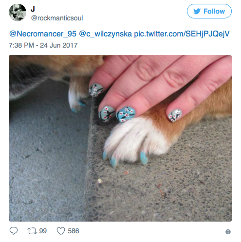 cat-mani-trend-09