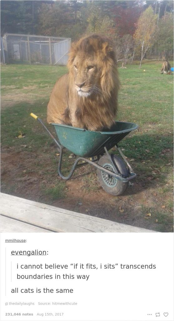 If-It-Fits-I-Sits-10