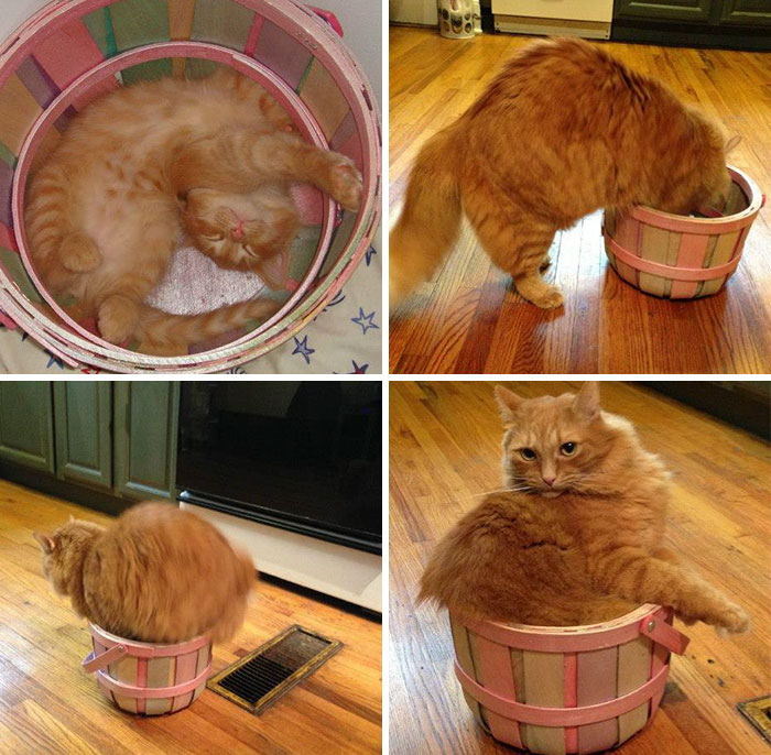 If-It-Fits-I-Sits-20