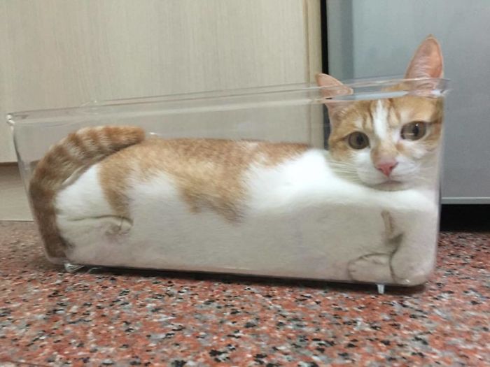 If-It-Fits-I-Sits-22