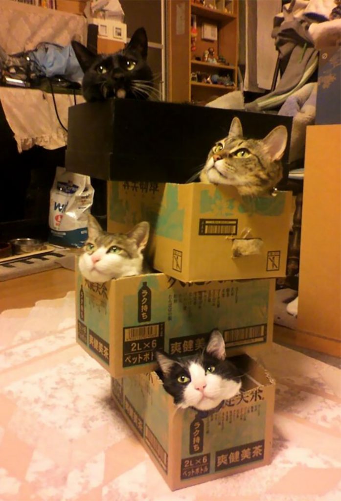 If-It-Fits-I-Sits-24