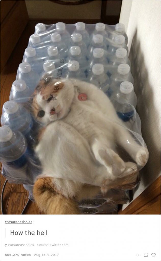 If-It-Fits-I-Sits-27