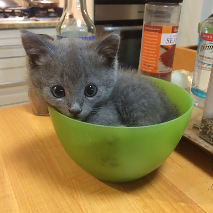 If-It-Fits-I-Sits-28