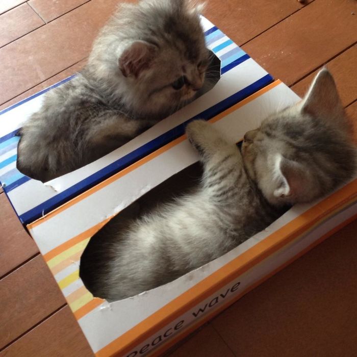 If-It-Fits-I-Sits-32