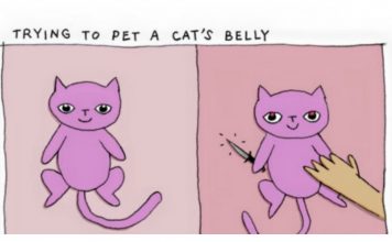 17 Skills Cat Owners Must Master For Survival