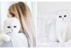 Meet Maisey, The Cat Who Is Constantly Embarrassed