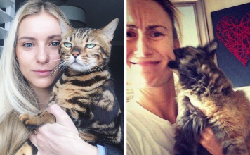 15+ Times Cats Didn’t Want To Be In Your Selfies And The Results Are Hilarious