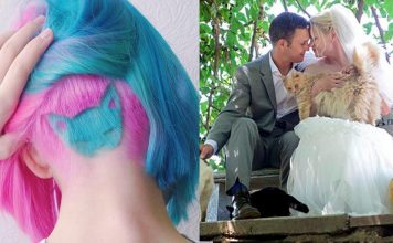 10 People Who Took "The Crazy Cat Lady" Thing To A Whole New Level