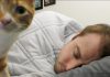 Why Do Cats Like To Sleep With Us?