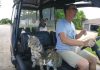 Cats Hop Into A Golf Car Than Proceed To Turn Up The Music…Hilarious