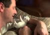 Little Kitten Loves His Human Dad So Much