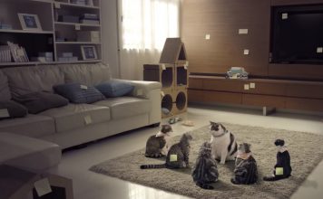 Hilarious Commercial Featuring Cats…You’ll Never Guess What It’s For!