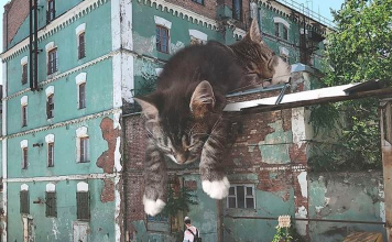 Artist Creates Images That Show How Earth Would Look If Cats Were A Lot Bigger