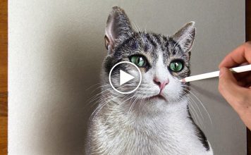 A Cat Drawing So Real You Can Hear Its Purr!