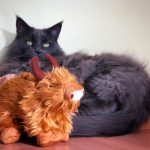 Maison de Moggy-13