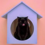 Maison de Moggy-17
