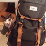 Maison de Moggy-8