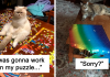 25+ Photos That Show The Reality Of Trying To Finish A Puzzle With Your Cat
