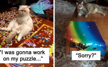 25+ Photos That Show The Reality Of Trying To Finish A Puzzle With Your Cat