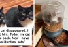 25 Hilarious Cat Snapchats That Will Make You Smile