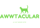 AWWTACULAR-mobile