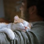 GettyImages-1151339015-scaled