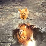 cats-in-a-dream-the-meaning-of-cats-as-dream-symbols