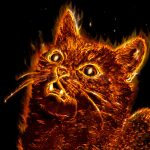 mystical-cat-24218104